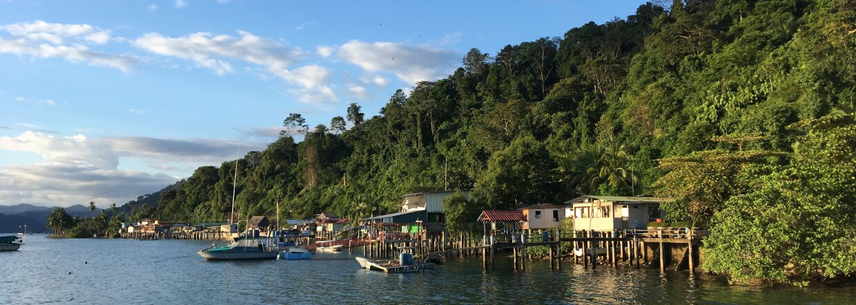 Гледка на къщи със собствен пристан намиращи се между океана и хълмиста джунгла